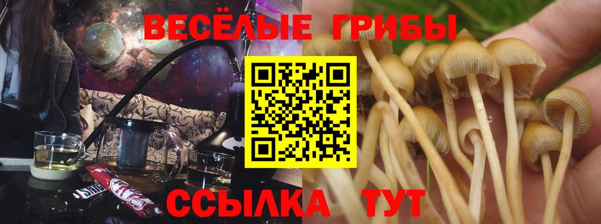 Псилоцибиновые грибы GOLDEN TEACHER  Вход с VPN  Галлюциногенные грибы MAGIC MUSHROOMS  как найти   Валуйки 